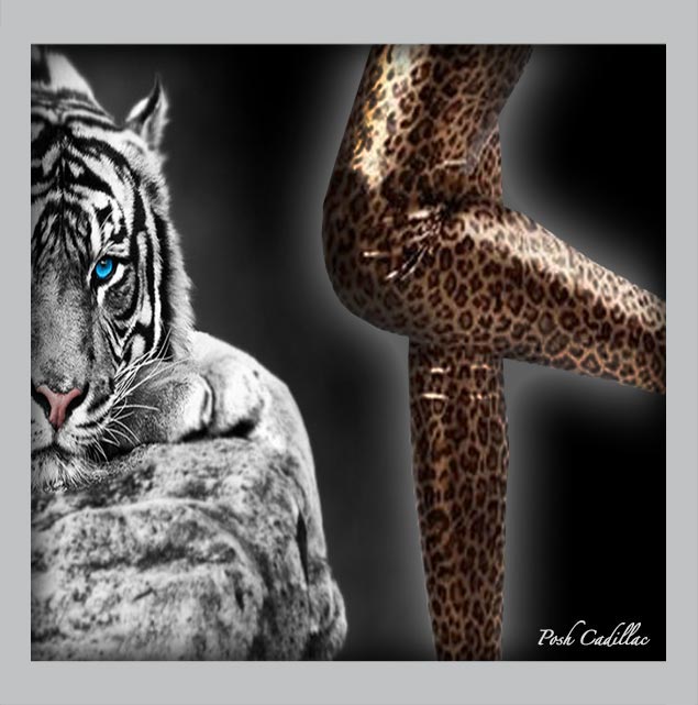 Leopard-tiger-print-metallic-gold-leggings-tights-posh-cadillac-main2-web-S